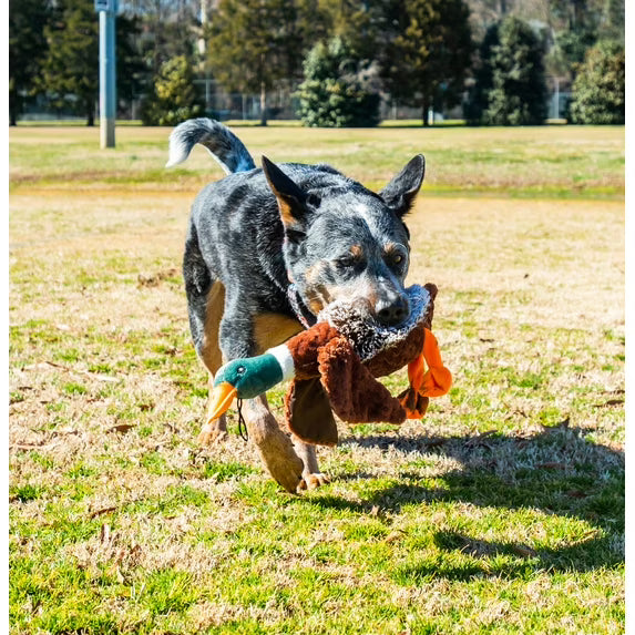 Plush Duck Dog Toy with Honking Squeaker