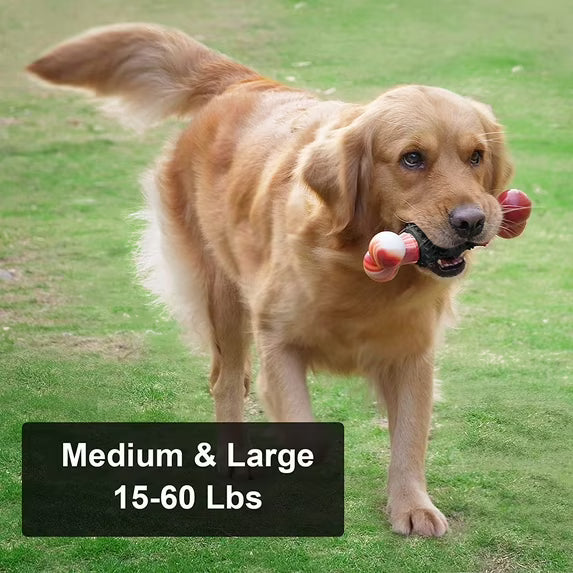 Durable Bone Chew Dog Toy