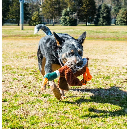 Plush Duck Dog Toy with Honking Squeaker